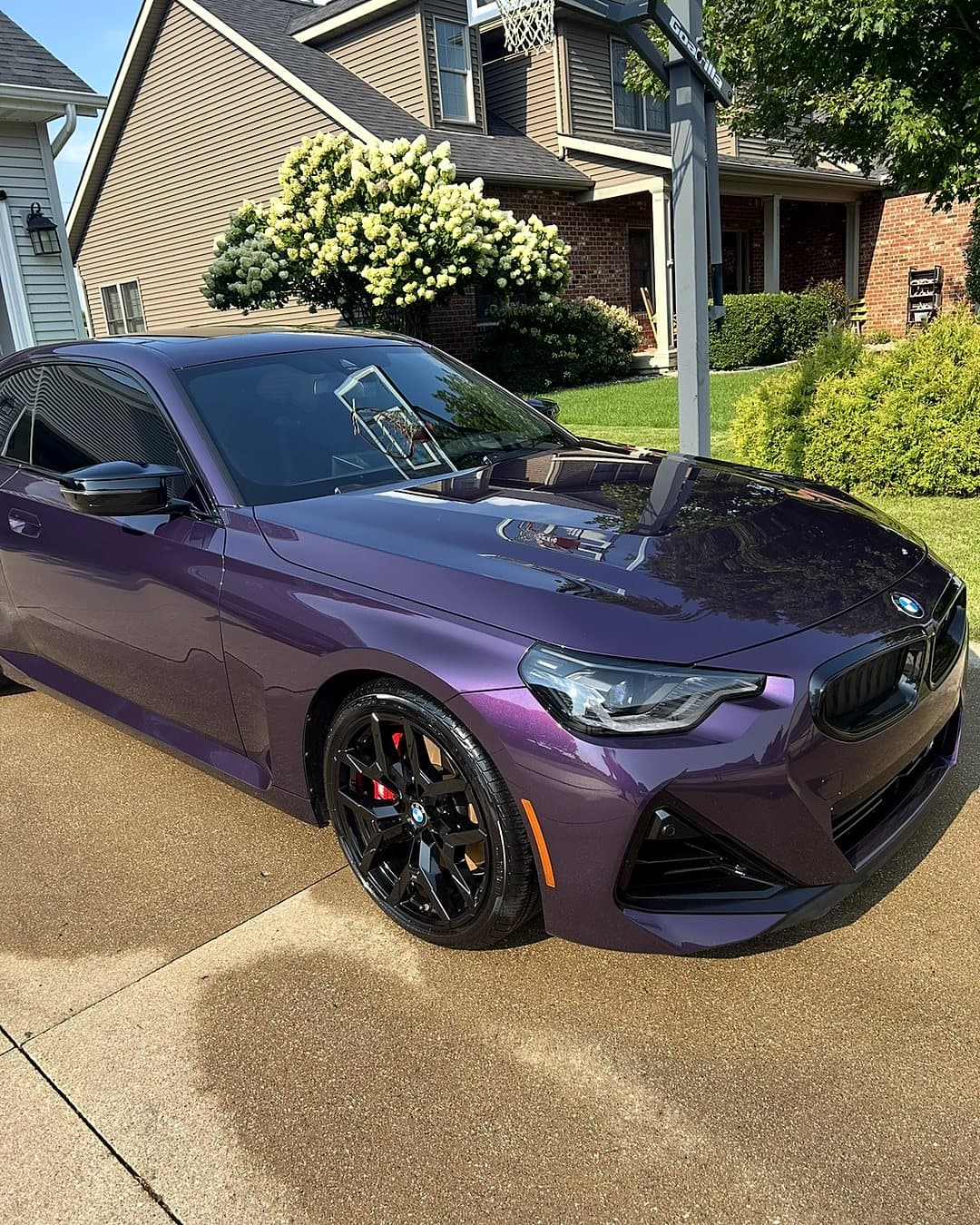 After: BMW 2 Series foam wash and exterior detail